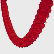 Load image into Gallery viewer, Paper Party Garland - 3.6m