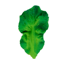 Load image into Gallery viewer, Kendall the Kale
