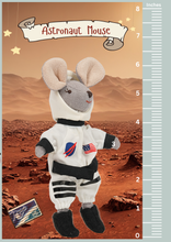 Load image into Gallery viewer, Astronaut Mouse in a Box with the bedding