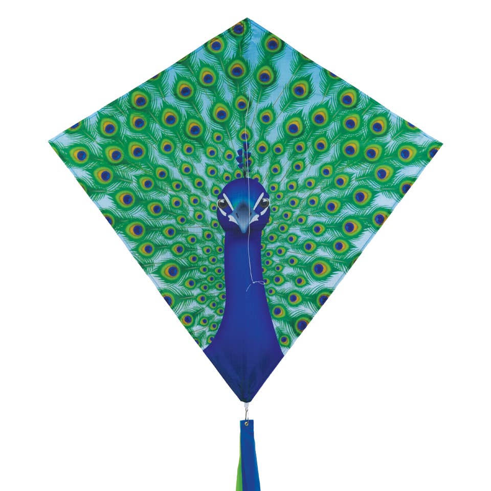 Peacock 30