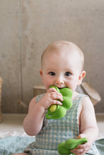 Load image into Gallery viewer, Keiko the Edamame Teether