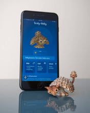 Load image into Gallery viewer, Fungisaurs Mystery Box Collectible Toys