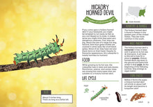 Load image into Gallery viewer, Kid’s Guide to Backyard Bugs