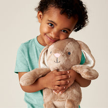 Load image into Gallery viewer, *NEW* Sweetie Snuggles™ Plush: Strawberry