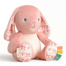 Load image into Gallery viewer, *NEW* Sweetie Snuggles™ Plush: Strawberry