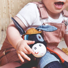 Load image into Gallery viewer, Ignace Musical Cuddle