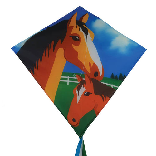 Mare & Foal 30