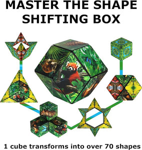 Shashibo Cube