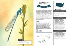 Load image into Gallery viewer, Kid’s Guide to Backyard Bugs