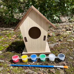 Build Your Own Bird House Kit - Kids Craft DIY Bird House