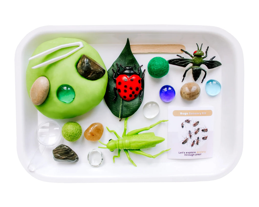 Bugs Play Dough Sensory Kit
