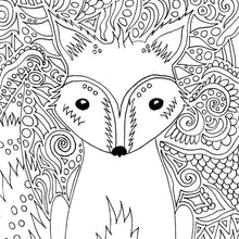 Load image into Gallery viewer, The Fairy Trails Field Guide - Adventure and Coloring Book
