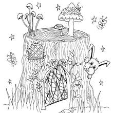 Load image into Gallery viewer, The Fairy Trails Field Guide - Adventure and Coloring Book