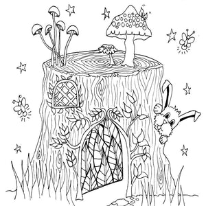 The Fairy Trails Field Guide - Adventure and Coloring Book