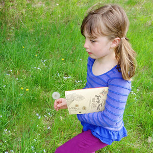 The Fairy Trails Field Guide - Adventure and Coloring Book