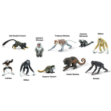 Load image into Gallery viewer, Primates TOOB® - 100323