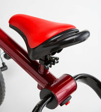 Load image into Gallery viewer, One2Go 2-in-1 Folding Tricycle and Balance Bike