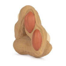Load image into Gallery viewer, Paco the Peanut