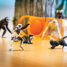 Load image into Gallery viewer, Primates TOOB® - 100323
