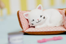 Load image into Gallery viewer, Pandora The Persian Cat Set