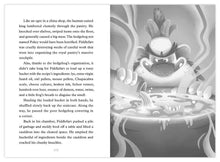 Load image into Gallery viewer, Hobgoblin and the Seven Stinkers of Rancidia