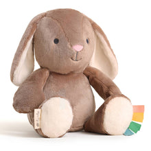 Load image into Gallery viewer, *NEW* Sweetie Snuggles™ Plush: Strawberry