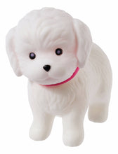 Load image into Gallery viewer, Bitty Buddies - Toy Puppies &amp; Kitties