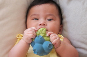 Jerry the Blueberry Teether and Toy