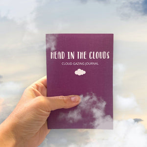 Head In The Clouds