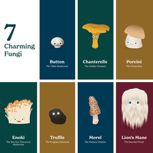 Load image into Gallery viewer, Little Book of Fungi