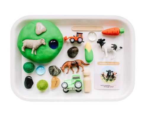 Farming Play Dough Sensory Kit