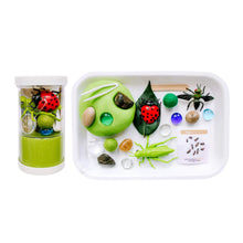 Load image into Gallery viewer, Bugs Play Dough Sensory Kit