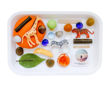 Load image into Gallery viewer, Safari Play Dough Sensory Kit