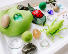 Load image into Gallery viewer, Bugs Play Dough Sensory Kit