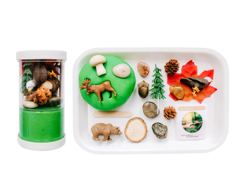 Woodland Play Dough Sensory Kit