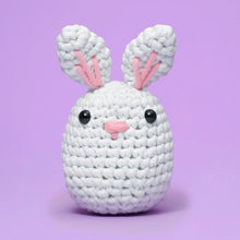 Load image into Gallery viewer, Jojo the Bunny Beginner Crochet Kit