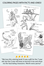 Load image into Gallery viewer, Creatures of Magic &amp; Myth Coloring + Activity Book