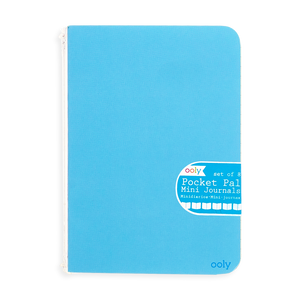 Mini Pocket Pals Journals: Color Write
