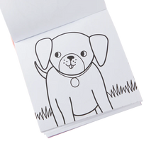 Load image into Gallery viewer, Pet Pals Carry Along Crayon &amp; Coloring Book Kit