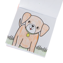 Load image into Gallery viewer, Pet Pals Carry Along Crayon &amp; Coloring Book Kit