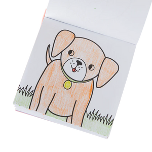 Pet Pals Carry Along Crayon & Coloring Book Kit