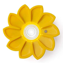 Load image into Gallery viewer, Little Sun Original