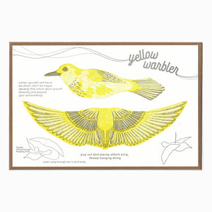 warbler pop-out bird card