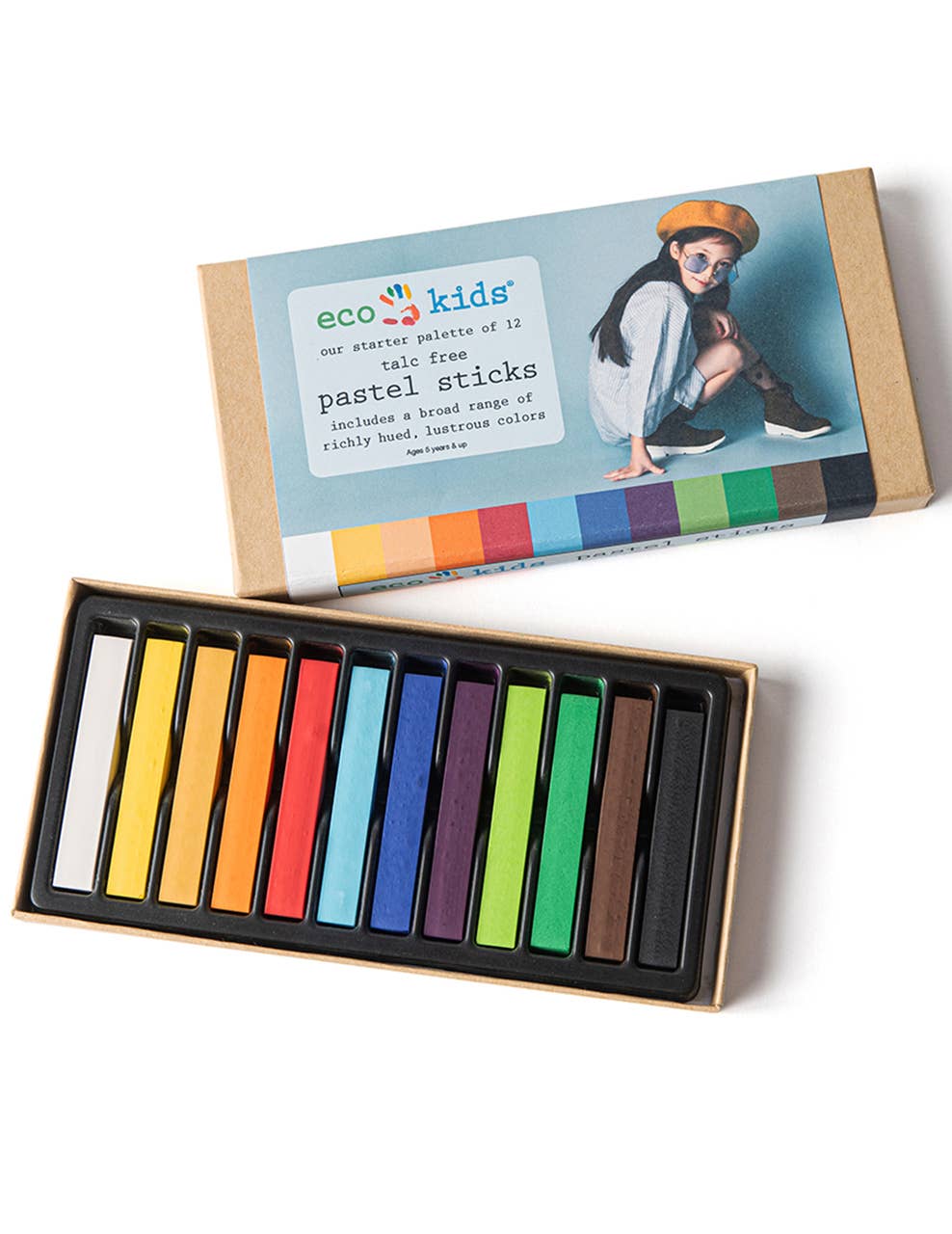 pastel sticks - case
