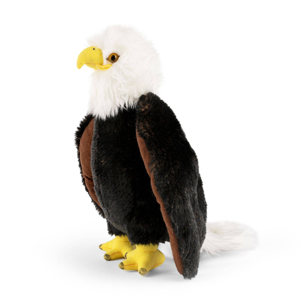 Living Nature Bald Eagle