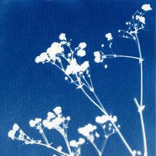 Load image into Gallery viewer, Classic Cyanotype ✨  Creative Activity Kit