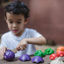Load image into Gallery viewer, 5 Color Veggie Set