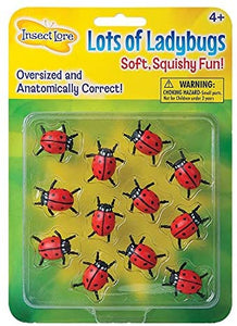 Lots O' Ladybugs