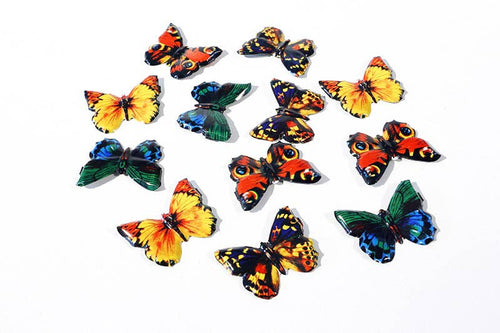 Tin Butterfly Pin