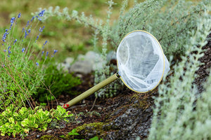 Butterfly Net